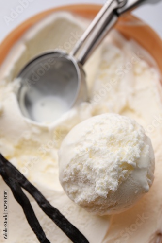 Delicious ice cream, scoop and vanilla pods in container, closeup