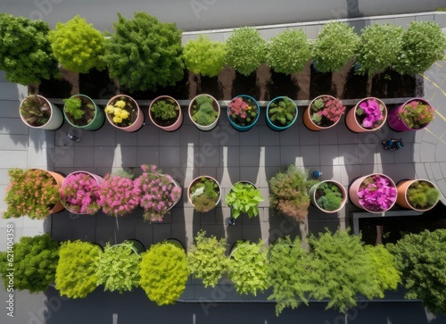 Brighten Up Your Home With Colorful Planters: A View From Above Generative AI