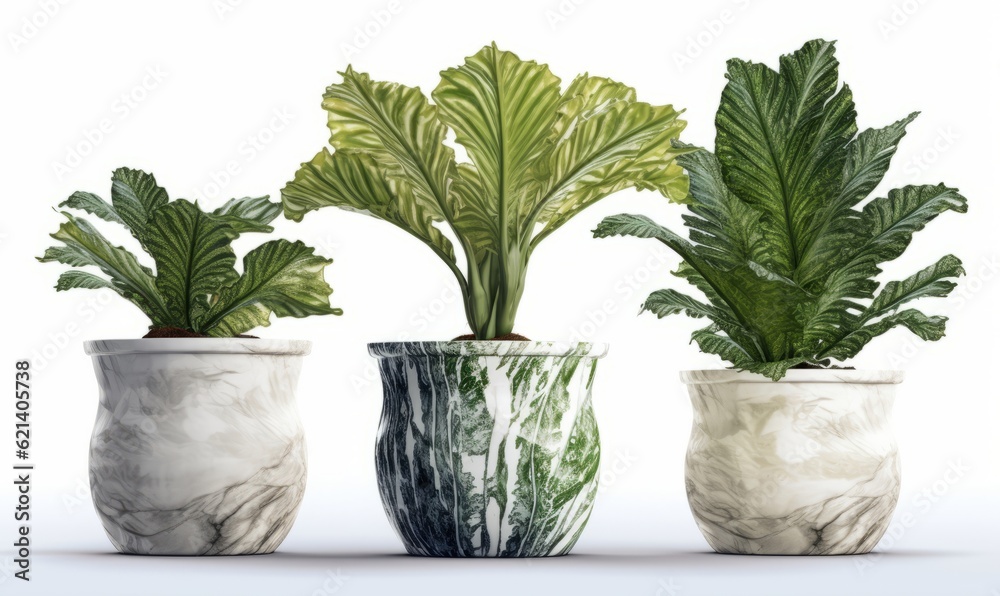 Fototapeta premium Beautiful 3D Renderings of Green Leaf Indoor Potted Plants for Your Home Decor Generative AI