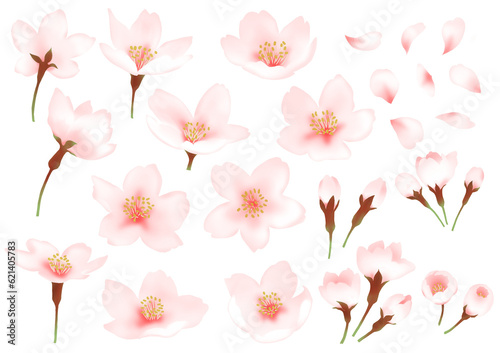 水彩の桜パーツ 花 蕾 花びら