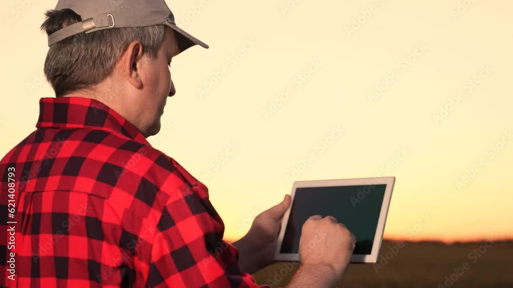 farmer using tablet hand watches sunset wheat field. beautiful image