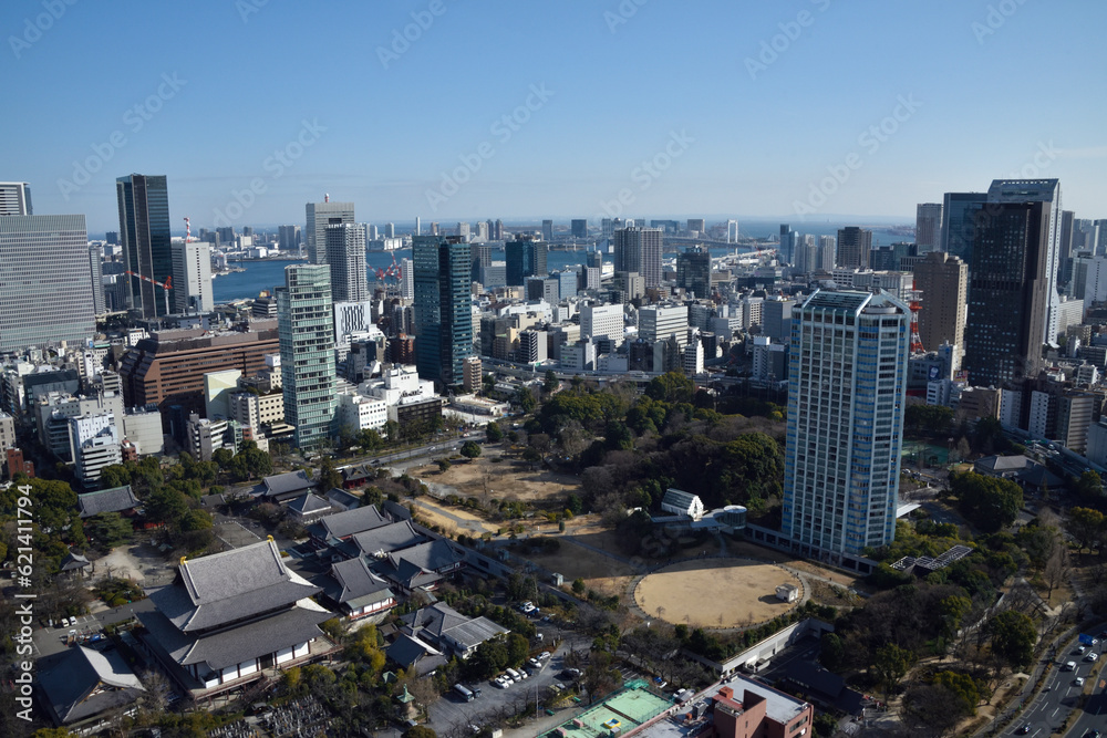 Obraz premium 東京タワーから見た景色