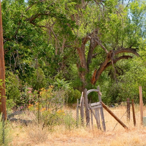 Fence gate of abandoned garden in ghost town Shafter Texas photo