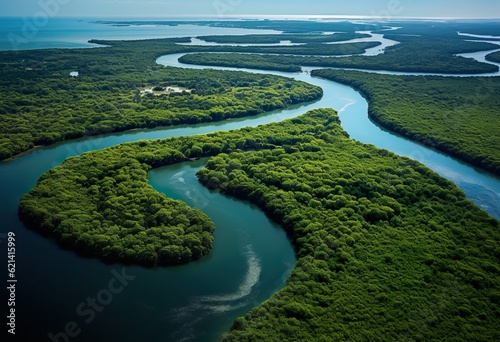 Aerial view of Rio Lagartos natural park along
