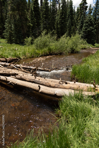 Wooden log bridge over creek