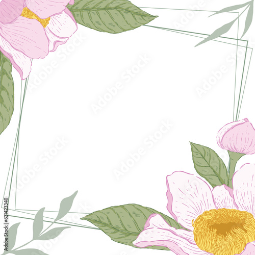 Botanical hand drawn gustavia flower illlustration frame photo