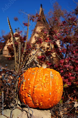 pumpkin in front of flowers, witch house