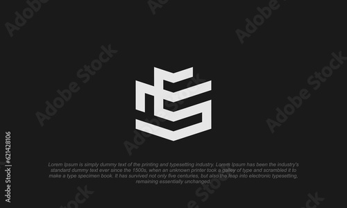 E M S logo monogram style in dark background