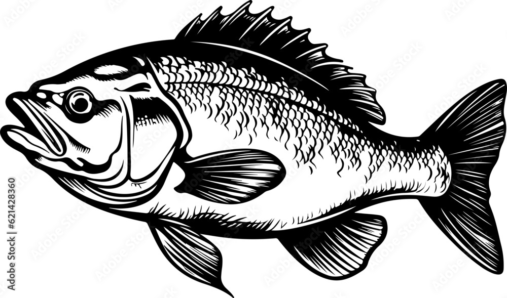 Bass Fishing SVG, Bass Fish SVG, Fishing SVG, Fish Svg, Largemouth Bass