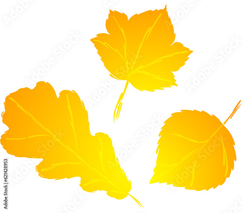 Autumn Yellow Leaves Element
