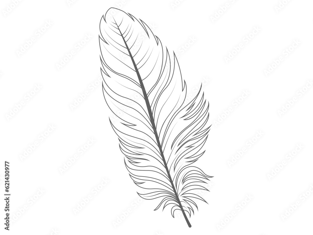 Fototapeta premium line art illustration of a feather
