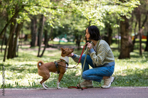 African dog sabbenji high fives the owner on a walk in the park.  photo