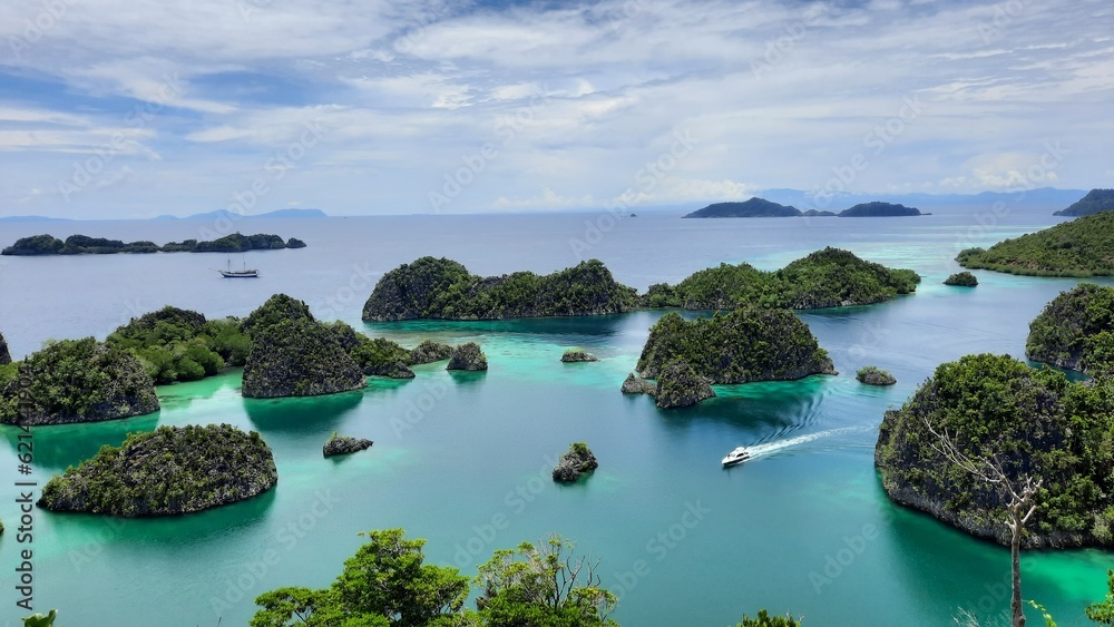 Fototapeta premium View from the top of the Pianemo Islands, Blue Lagoon with Green Rocks, Raja Ampat, West Papua, Indonesia.