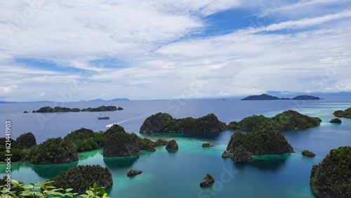 View from the top of the Pianemo Islands  Blue Lagoon with Green Rocks  Raja Ampat  West Papua  Indonesia.