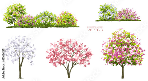 Vector of green grass or shrub isolated on white background,flower tree elevation for landscape concept,environment  scene,eco design,meadow for spring
