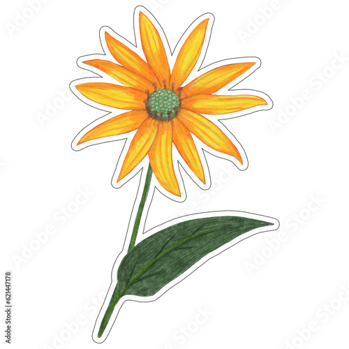 Sticker of Yellow Topinambur with Green Leaves Isolated on White Background. Jerusalem Artichoke Flower Element Sticker Drawn by Colored Pencil.