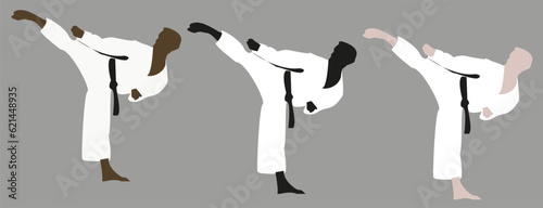 Vector karate man icon set on a grey background. Man in uniform posing with black belt. Sport athletes. Taekwando.  photo