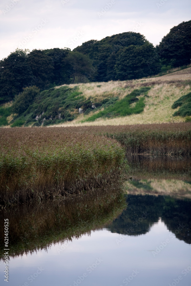 Reflection of reeds and banks of the Ythan river - Kirkton of Logie Buchan - between Ellon and Newburgh - Aberdeenshire - Scotland - UK