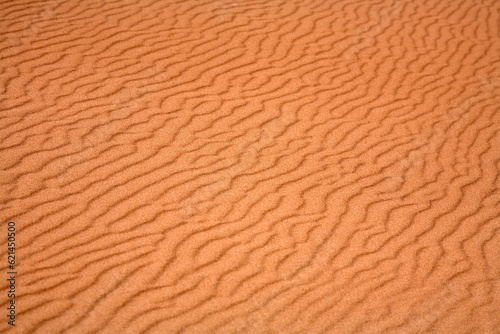 Detailed view of the texture and pattern of a sand dune - Newburgh - Aberdeenshire - Scotland - UK