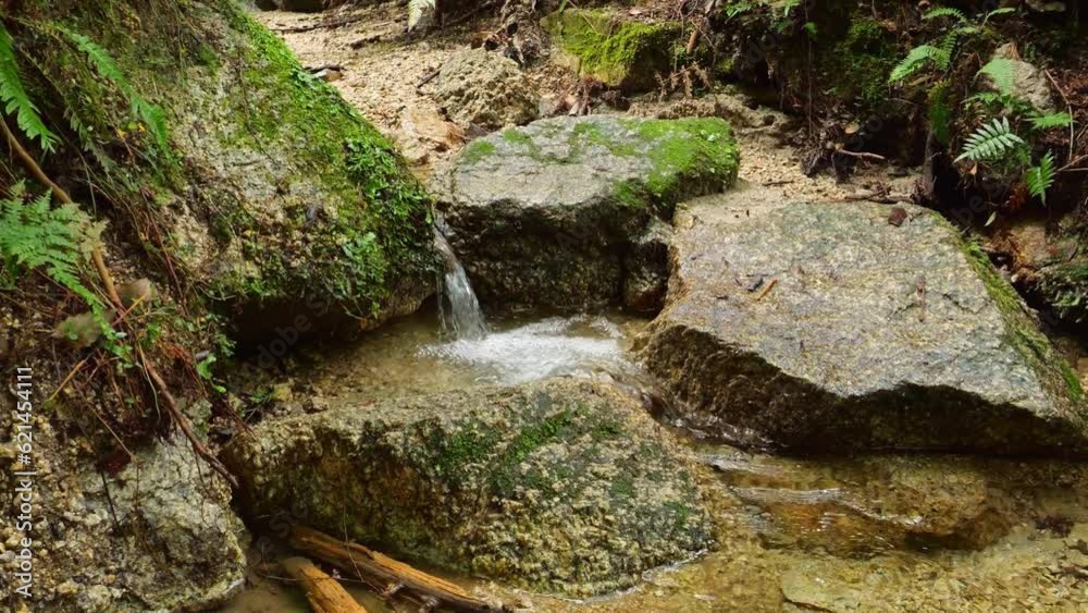 Small waterfall in the forest Small waterfall in the forest