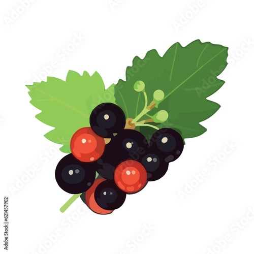 Ripe berry fruit on fresh green branch