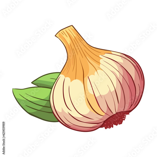 Fresh organic garlic, a healthy seasoning ingredient