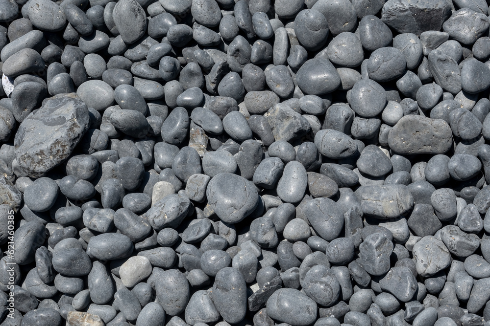 Top down view of many black shiny pebbles along the pacific coast . Top down view of many black shiny pebbles along the pacific coast .