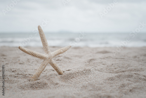 Starfish on the beach with sunset. concept of vacation and travel on summer holiday background with copy space for text.