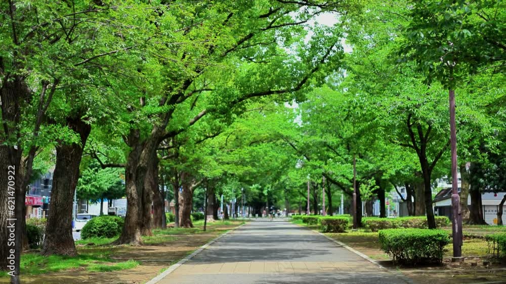 Yokohama Yokohama