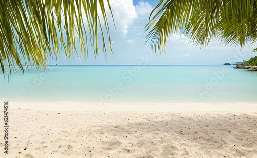 椰子の葉の間から見えるビーチ