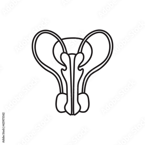 Hand drawn Kids drawing Cartoon Vector illustration male reproductive system icon Isolated on White Background