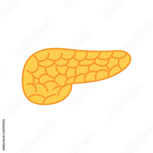 Kids drawing Cartoon Vector illustration pancreas icon Isolated on White Background