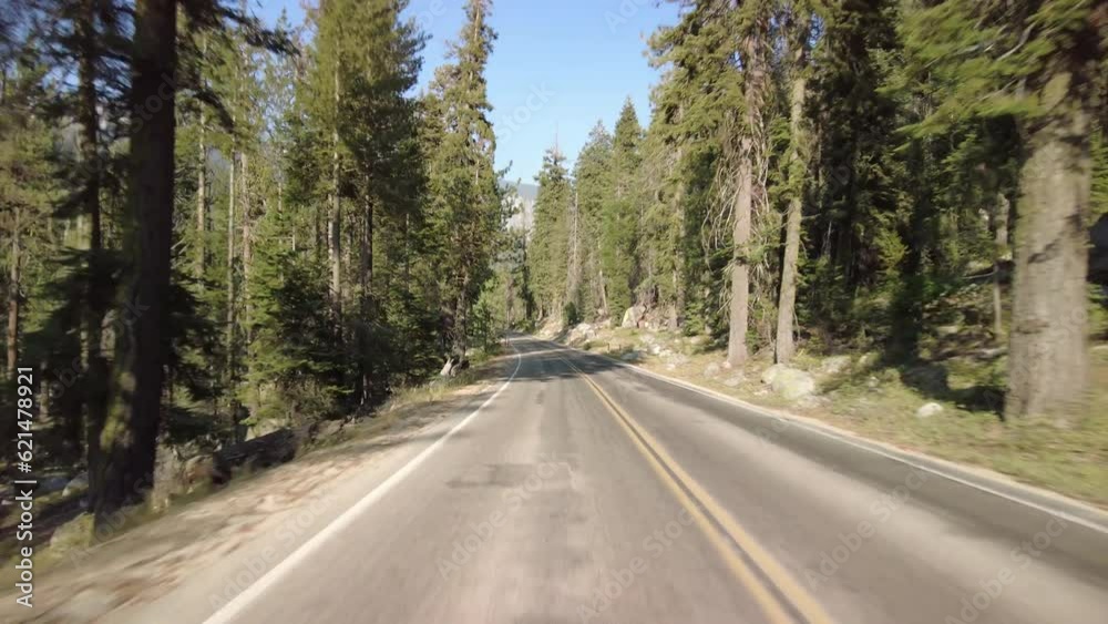 Sequoia National Park Generals Highway Southbound 03 Multi Camera Rear View Lodgepole Driving Plate Sierra Nevada Mts California USA Sequoia National Park Generals Highway Southbound 03 Multi Camera Rear View Lodgepole Driving Plate Sierra Nevada Mts California USA