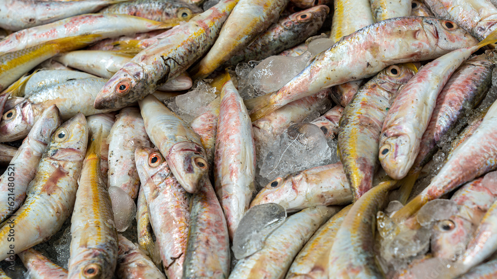 Fresh catch of fish on display for sale Fresh catch of fish on display for sale