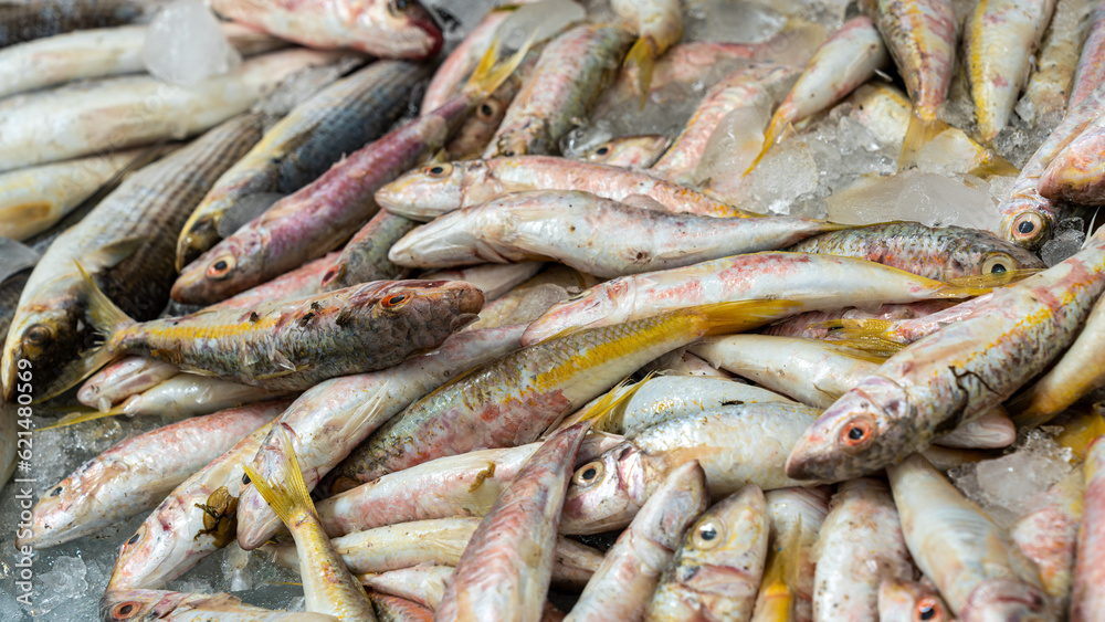 Fresh catch of fish on display for sale Fresh catch of fish on display for sale