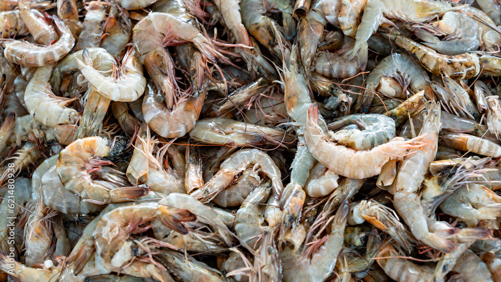 Fresh catch of shrimp on display for sale Fresh catch of shrimp on display for sale