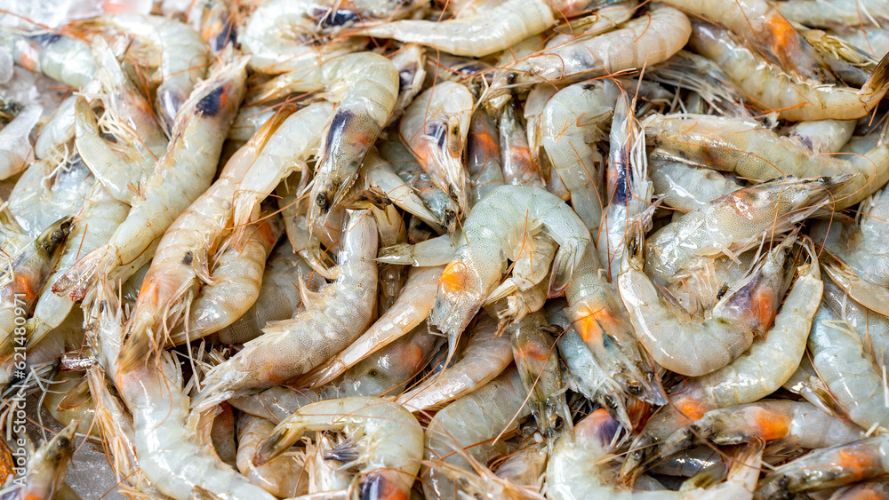 Fresh catch of Shrimp on display for sale