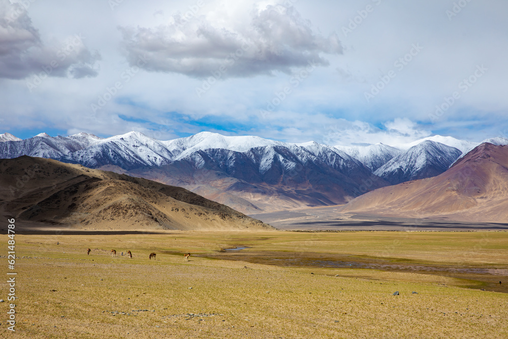 An himalayan landscape in ladakh region in india