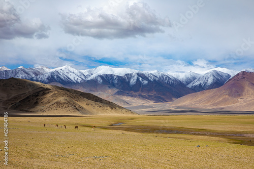 Photography An himalayan landscape in ladakh region in india