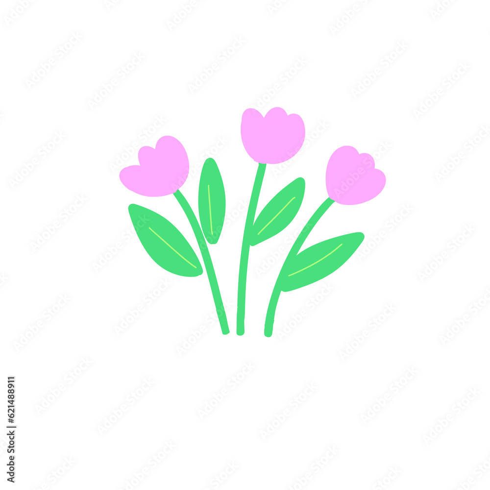 pink tulip flower pink tulip flower
