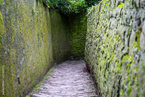 Germany, Philosopher Walk in Heidelberg city or Philosophenweg. Stone path, stonewall with lichen.