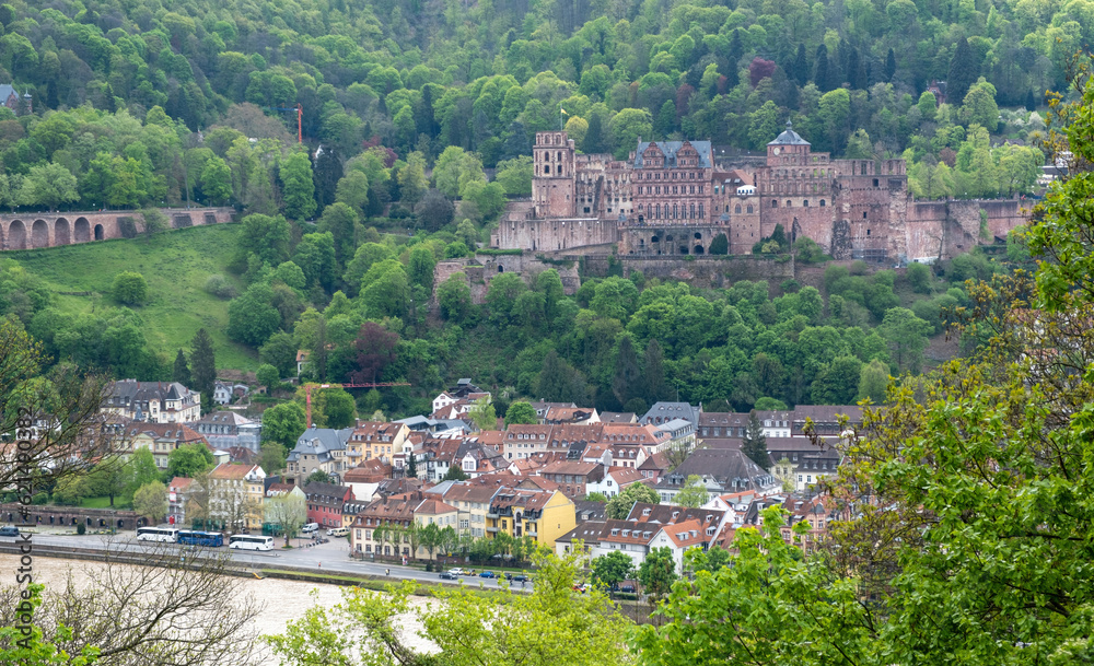 Germany, aerial view of Heidelberg traditional city and Schloss Heidelberg, palace castle on green hill.