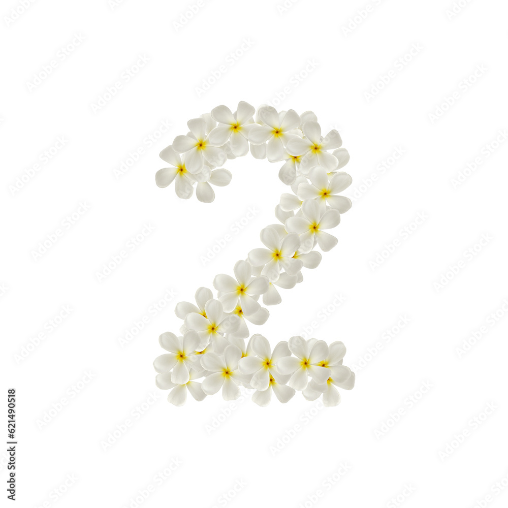 number 2 two made of flowers frangipani or plumeria isolated.