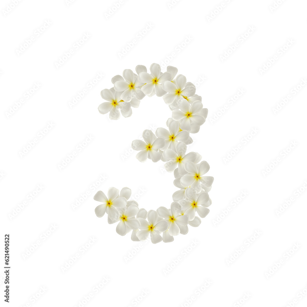 number 3 three made of flowers frangipani or plumeria isolated.