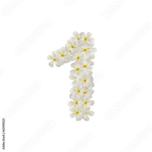 number 1 one made of flowers frangipani or plumeria isolated.