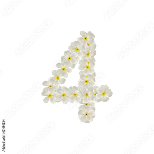 number 4 four made of flowers frangipani or plumeria isolated.