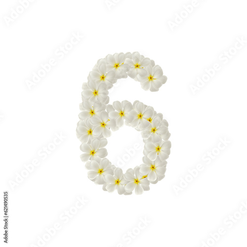number 6 six made of flowers frangipani or plumeria isolated.