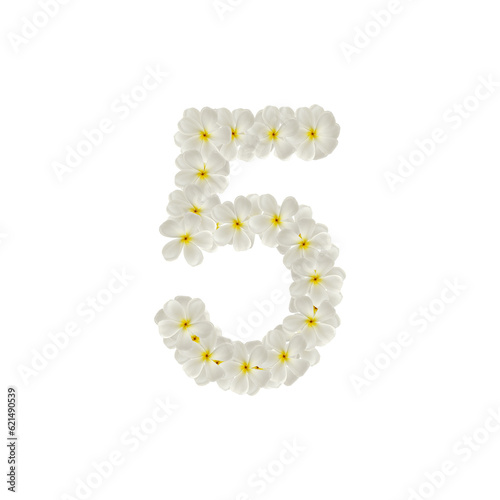 number 5 five made of flowers frangipani or plumeria isolated.