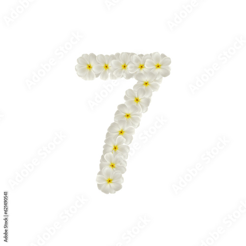 number 7 seven made of flowers frangipani or plumeria isolated.