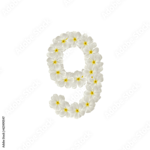 number 9 nine made of flowers frangipani or plumeria isolated.